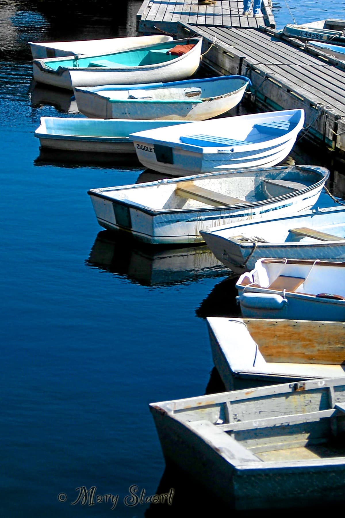 White row boats floating beside a weathered dock in Perkins Cove, Maine